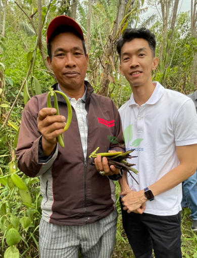 Vanilla Beans Farmers Niagaorganics