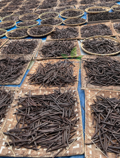 Vanilla Bean Curing Process