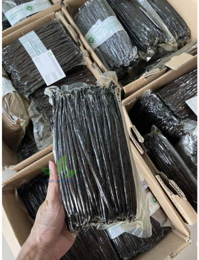 Vanilla Bean Standard Export Packaging Vacuum Packed Niagaorganics
